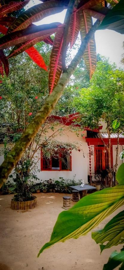 Ella Jungle Inn Homestay And Tree House Екстер'єр фото