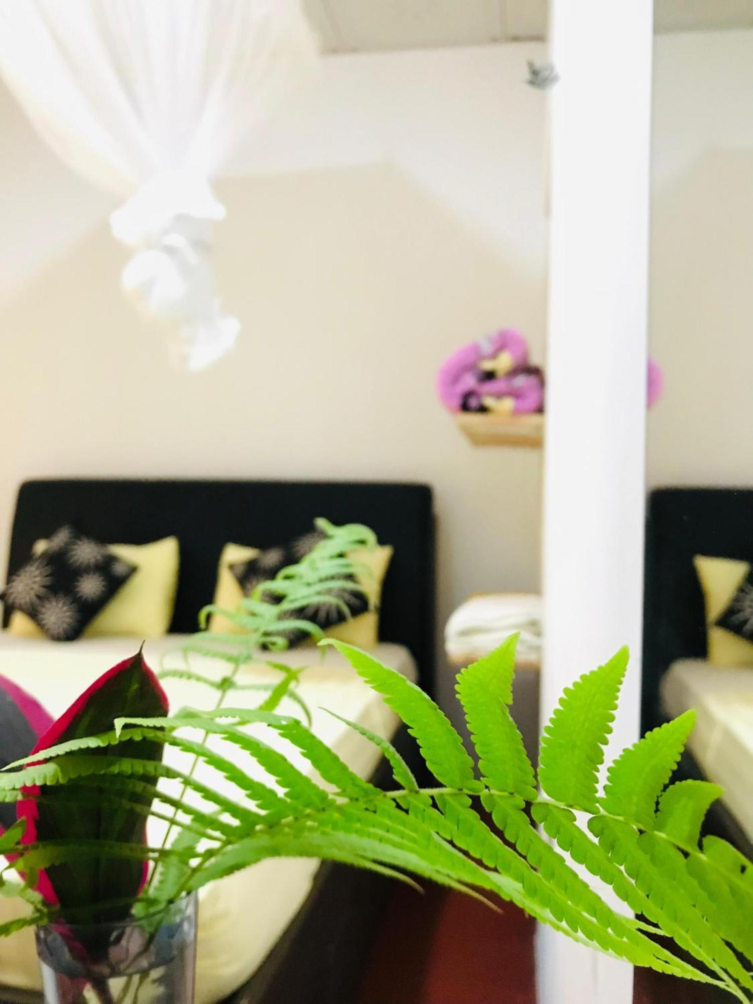 Ella Jungle Inn Homestay And Tree House Екстер'єр фото