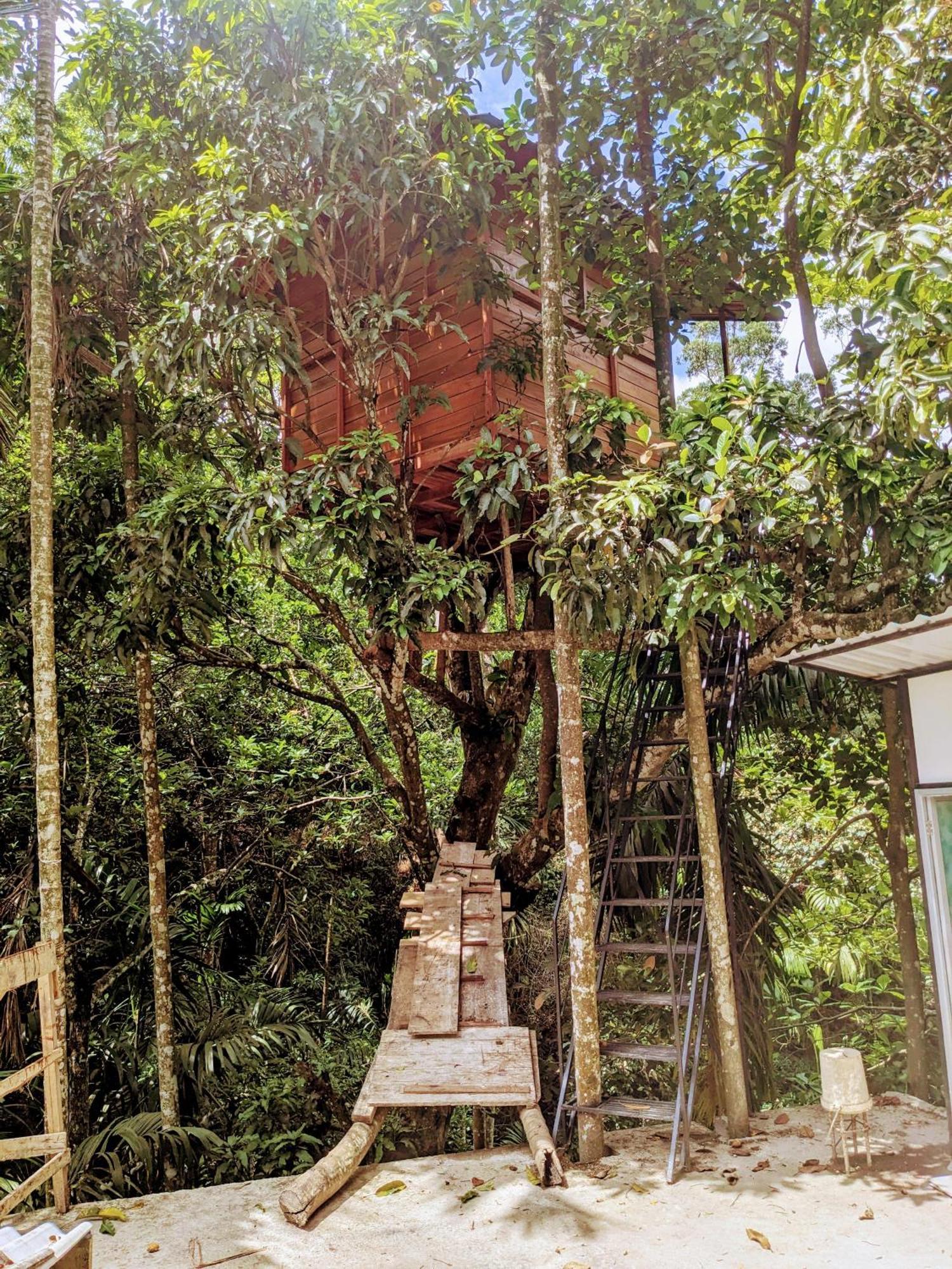 Ella Jungle Inn Homestay And Tree House Екстер'єр фото