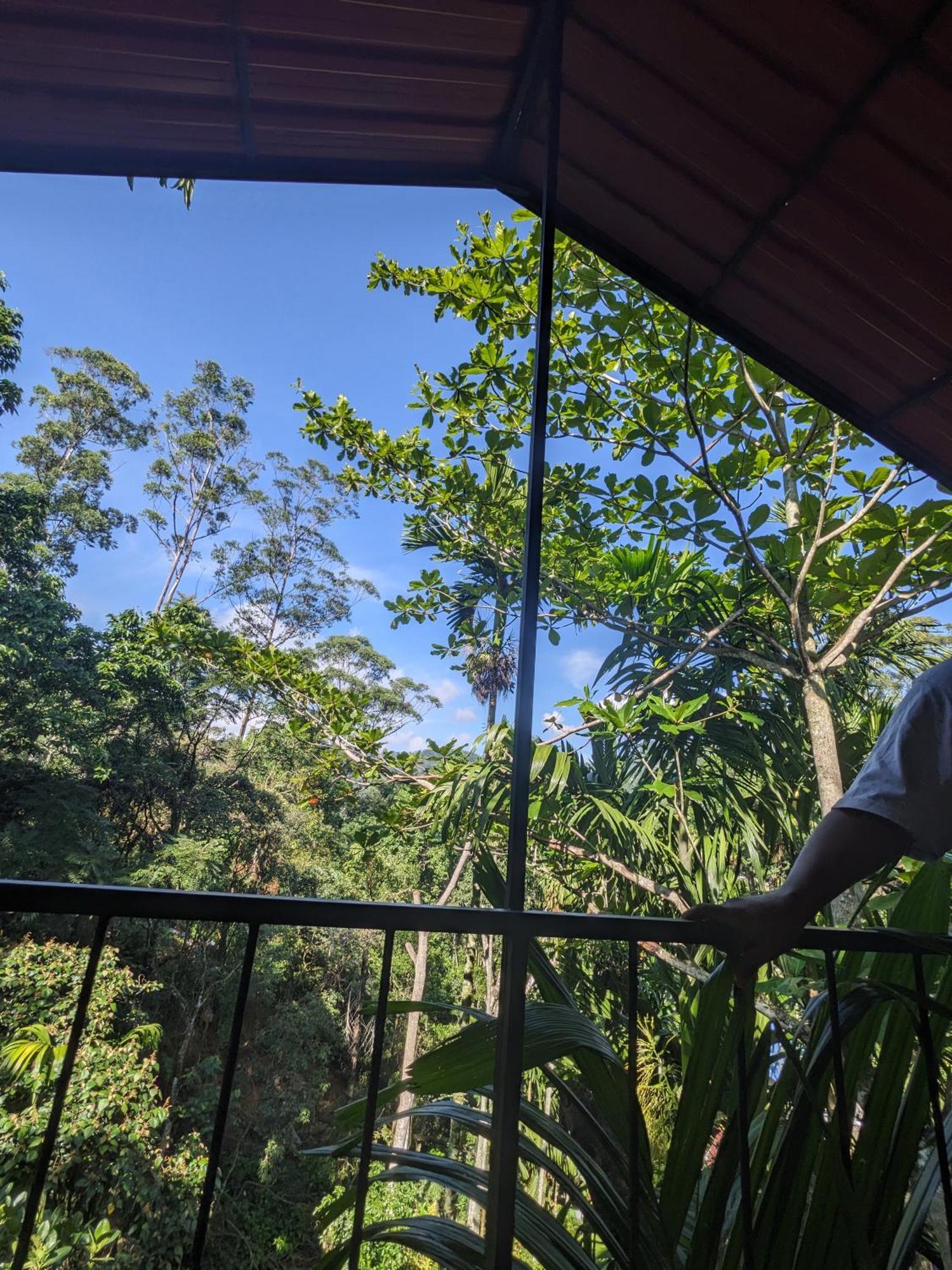 Ella Jungle Inn Homestay And Tree House Екстер'єр фото