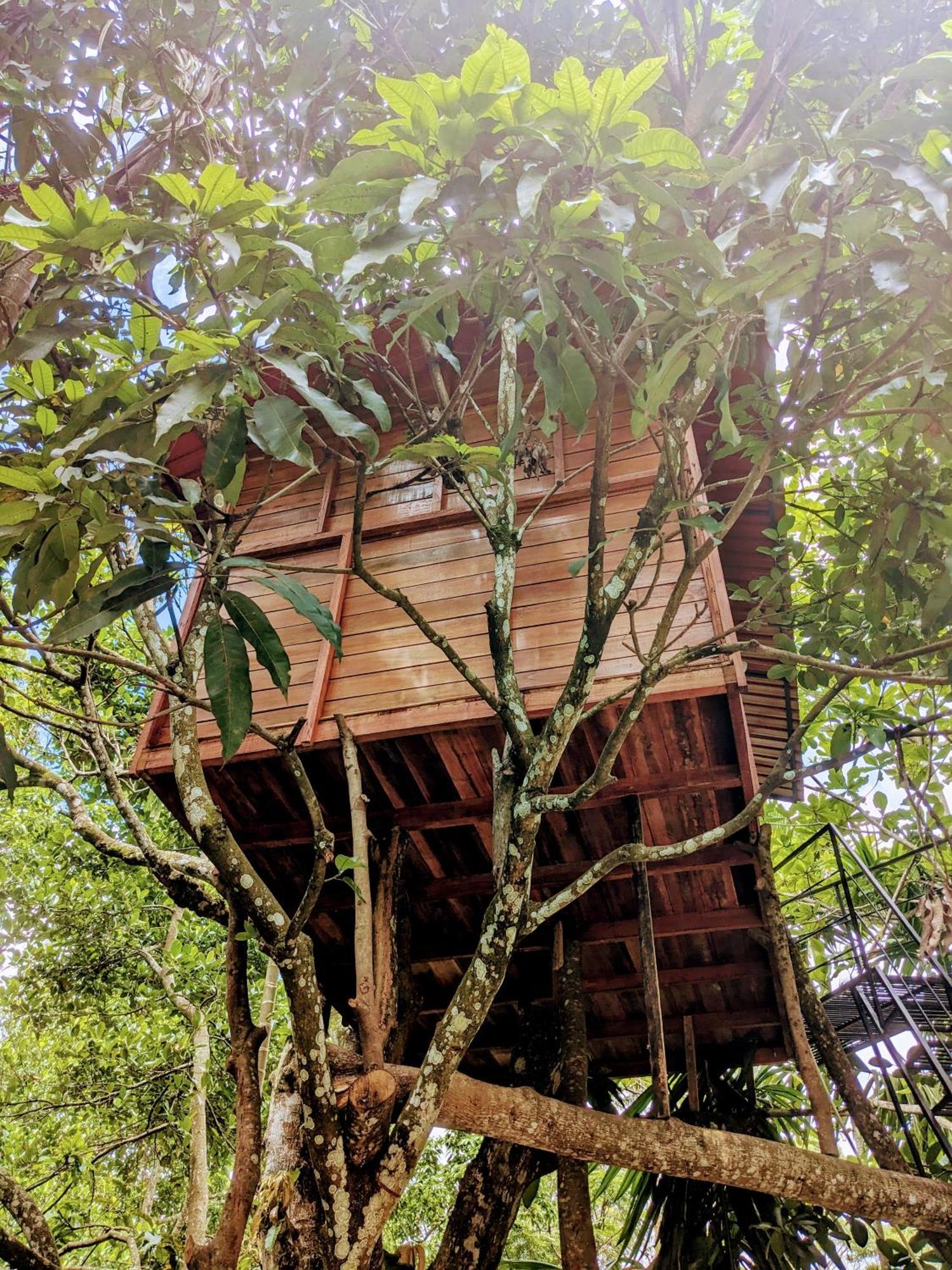 Ella Jungle Inn Homestay And Tree House Екстер'єр фото