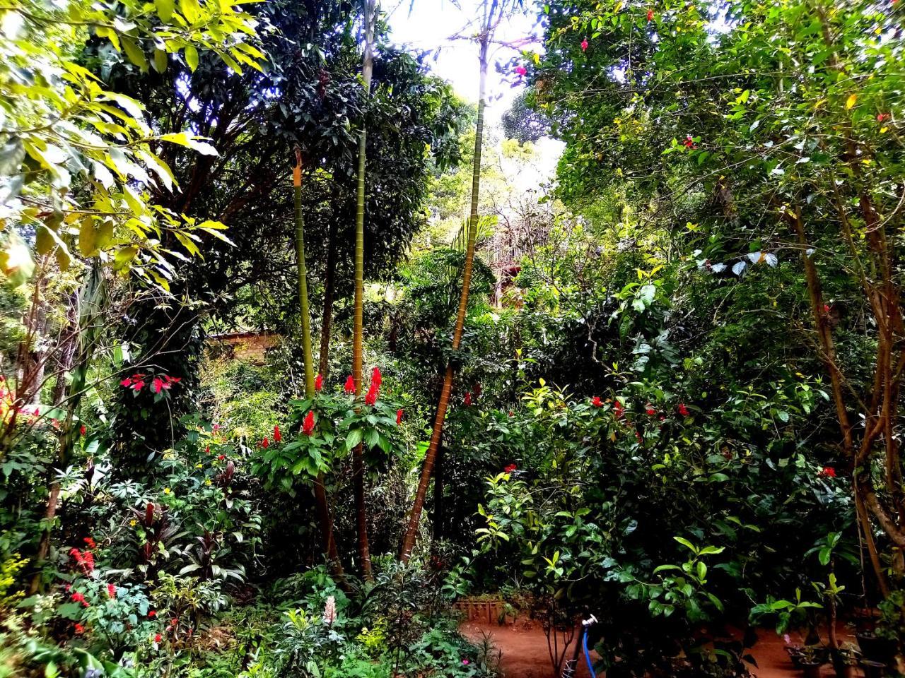 Ella Jungle Inn Homestay And Tree House Екстер'єр фото