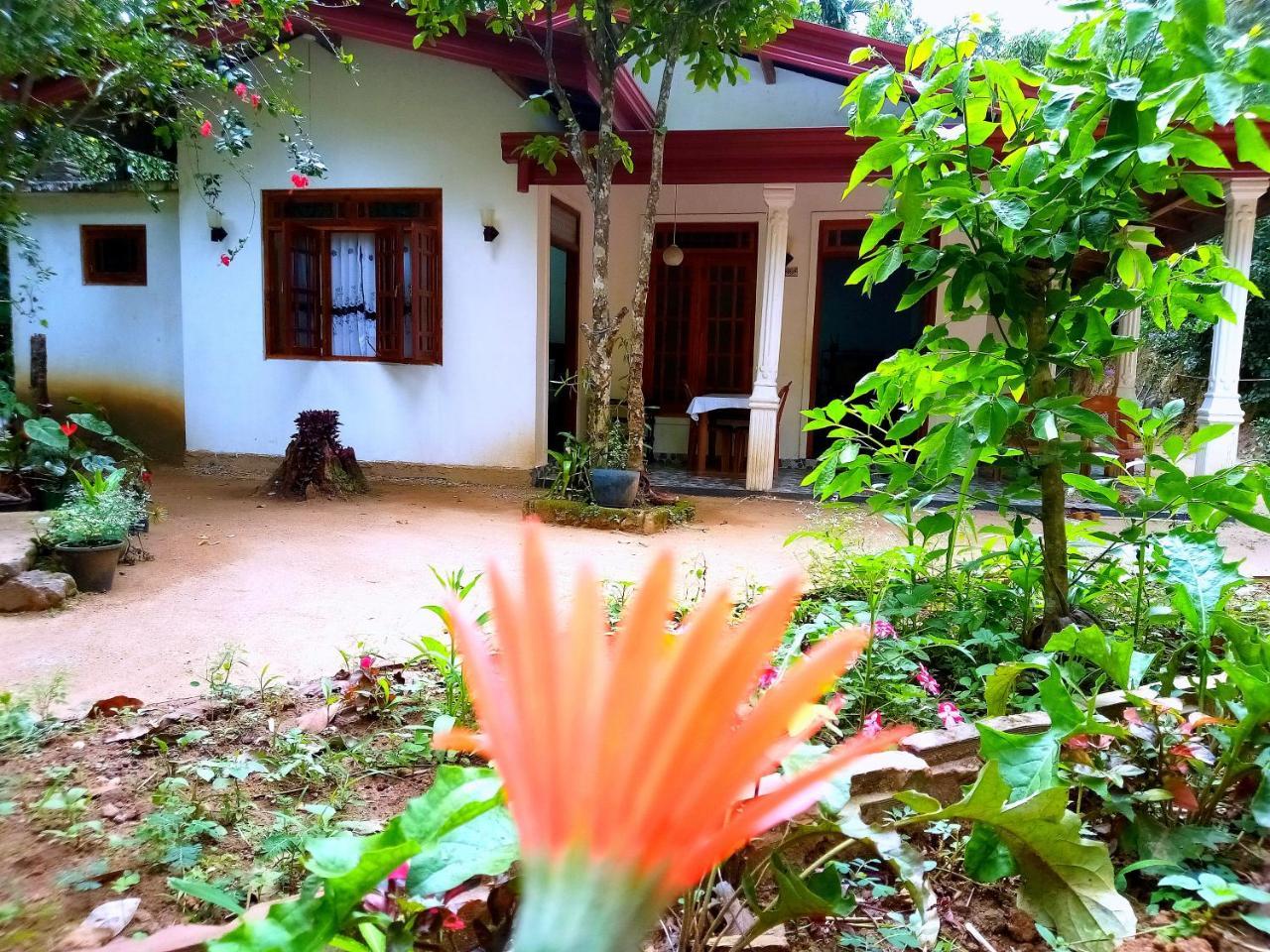 Ella Jungle Inn Homestay And Tree House Екстер'єр фото