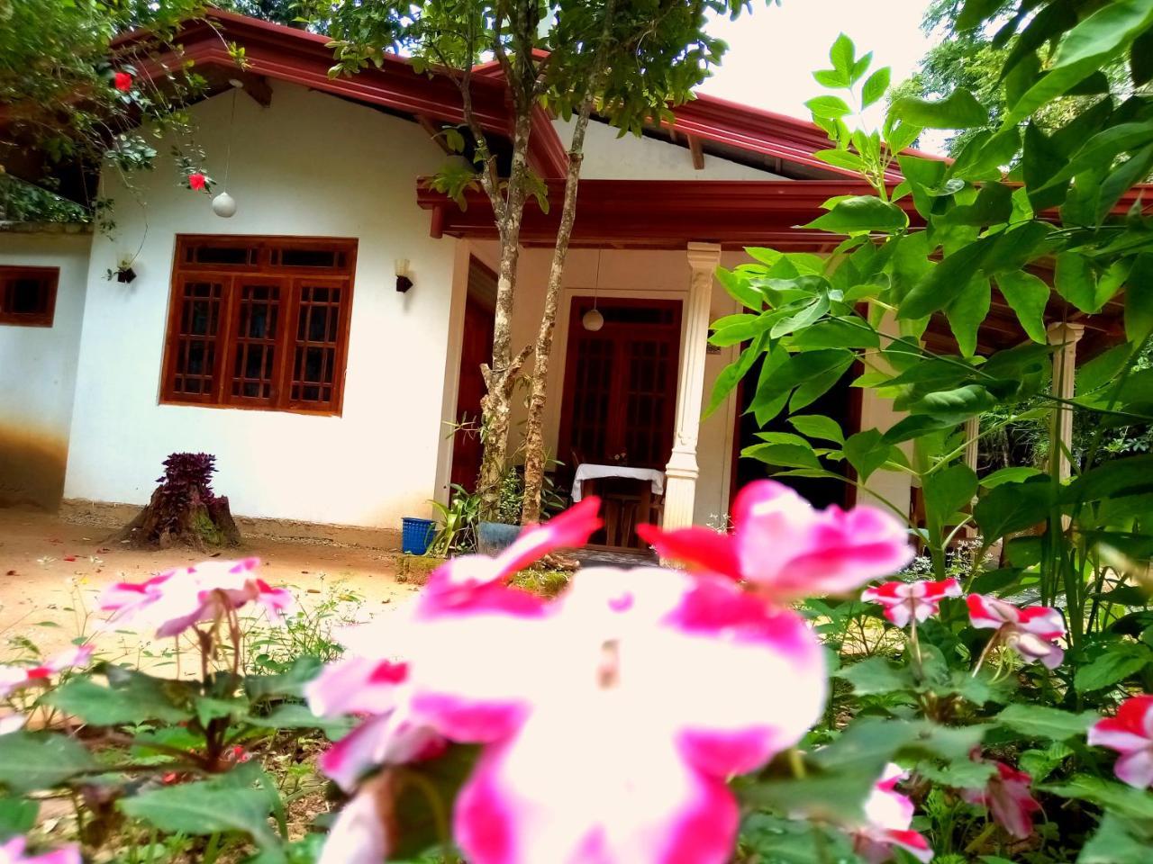 Ella Jungle Inn Homestay And Tree House Екстер'єр фото