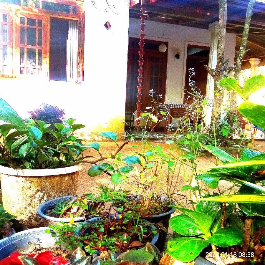 Ella Jungle Inn Homestay And Tree House Екстер'єр фото